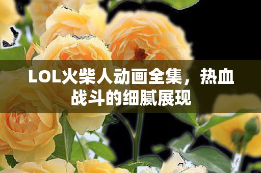LOL火柴人动画全集图片