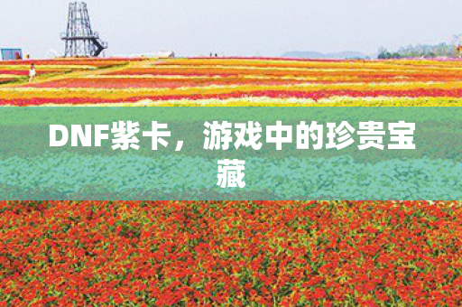 游戏中的珍贵宝藏图片
