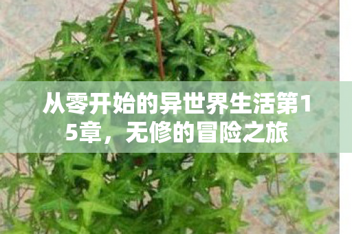 从零开始的异世界生活第15章图片