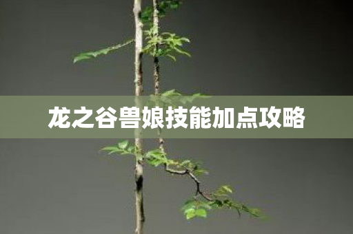 龙之谷兽娘技能加点攻略图片