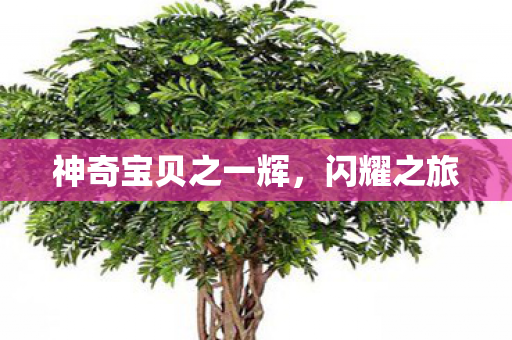 神奇宝贝之一辉图片