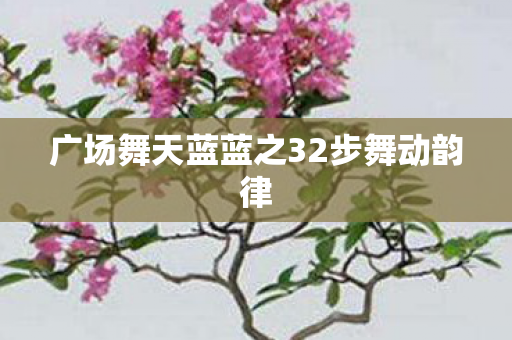 广场舞天蓝蓝之32步舞动韵律图片