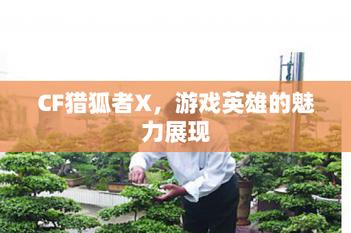 游戏英雄的魅力展现图片