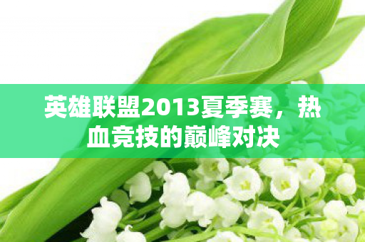 英雄联盟2013夏季赛图片
