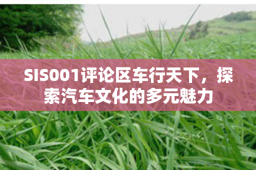 SIS001评论区车行天下图片