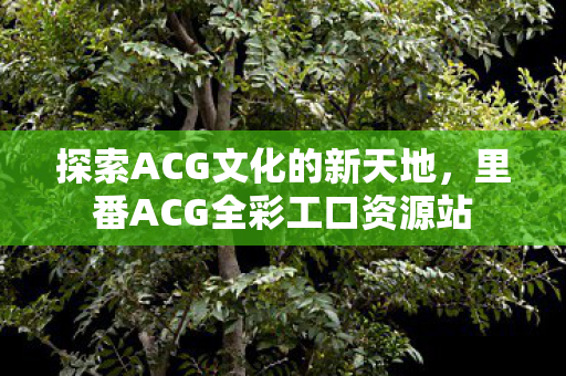 里番ACG全彩工口资源站图片