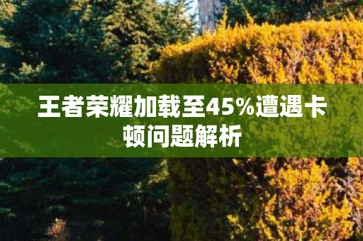 王者荣耀加载至45图片