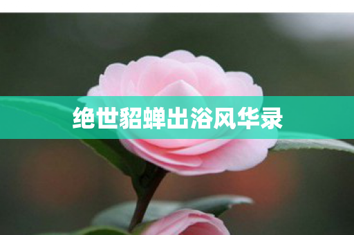 绝世貂蝉出浴风华录图片