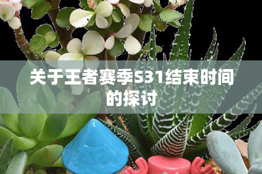 关于王者赛季S31结束时间的探讨图片