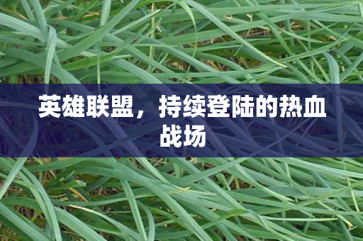 持续登陆的热血战场图片