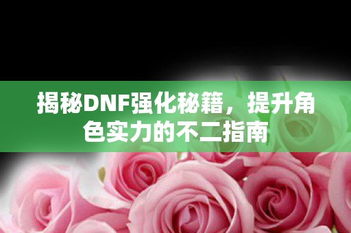 提升角色实力的不二指南图片