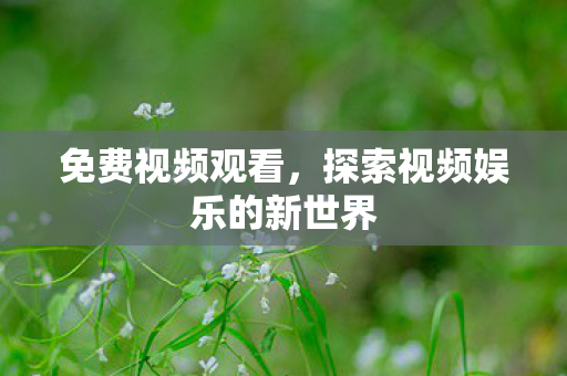 探索视频娱乐的新世界图片
