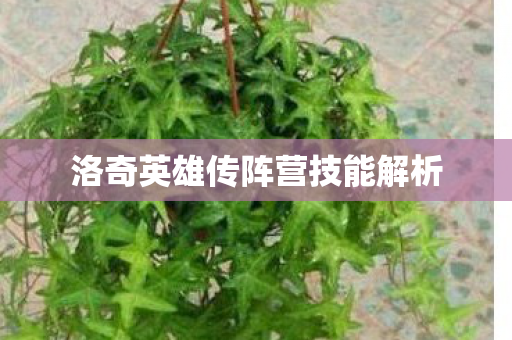 洛奇英雄传阵营技能解析图片