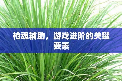 游戏进阶的关键要素图片