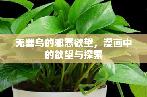 漫画中的欲望与探索图片
