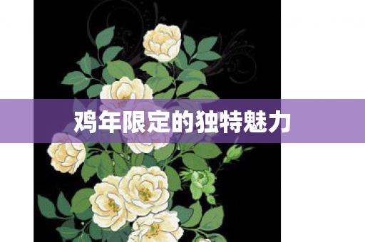 鸡年限定的独特魅力图片
