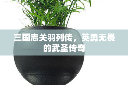 英勇无畏的武圣传奇图片