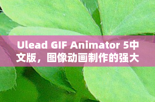 Ulead GIF Animator 5中文版图片