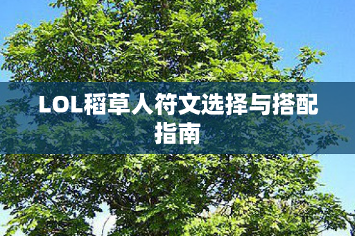 LOL稻草人符文选择与搭配指南图片