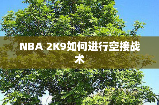 NBA 2K9如何进行空接战术图片