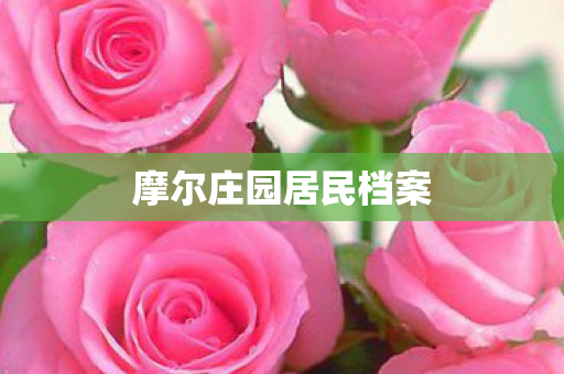摩尔庄园居民档案图片