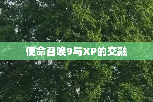 使命召唤9与XP的交融图片