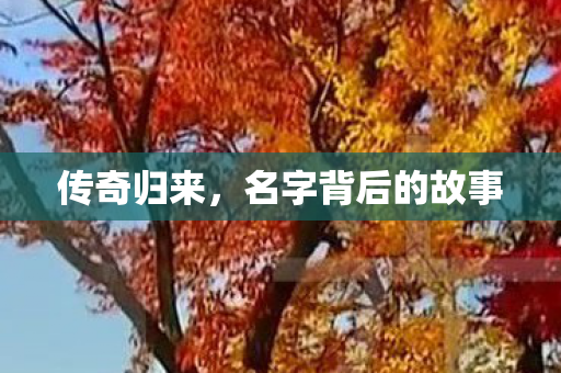 名字背后的故事图片
