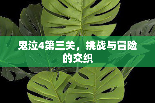 挑战与冒险的交织图片