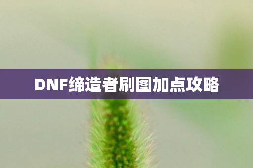 DNF缔造者刷图加点攻略图片