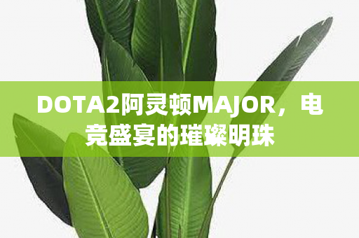 DOTA2阿灵顿MAJOR图片