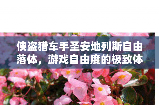 侠盗猎车手圣安地列斯自由落体图片