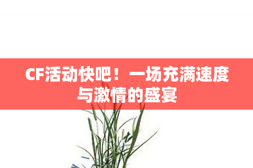 一场充满速度与激情的盛宴图片