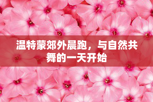 与自然共舞的一天开始图片