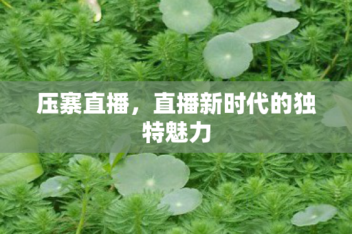 直播新时代的独特魅力图片