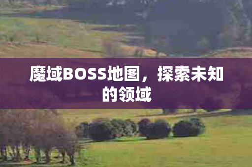 魔域BOSS地图图片
