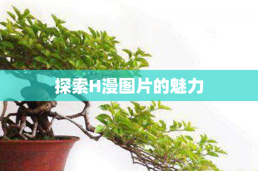 探索H漫图片的魅力图片