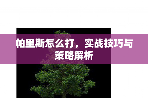 实战技巧与策略解析图片
