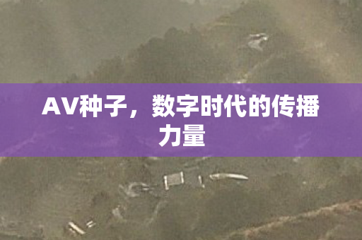 数字时代的传播力量图片