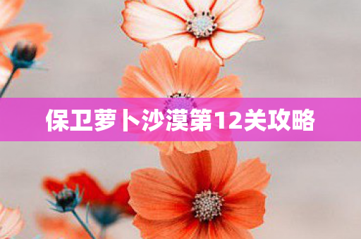 保卫萝卜沙漠第12关攻略图片
