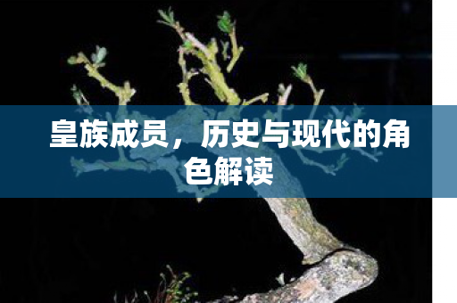 历史与现代的角色解读图片