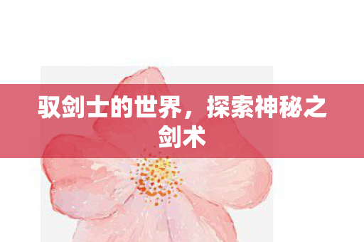 探索神秘之剑术图片