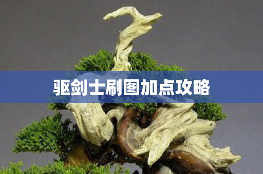 驱剑士刷图加点攻略图片