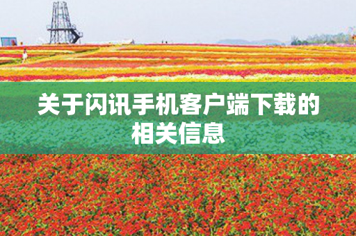 关于闪讯手机客户端下载的相关信息图片