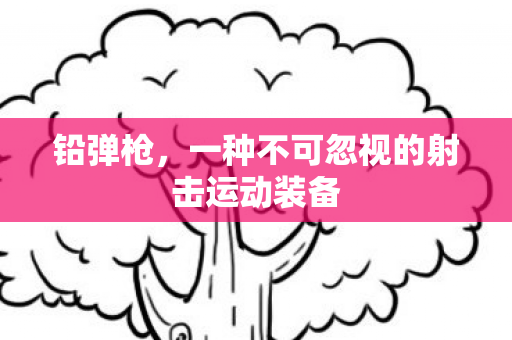 一种不可忽视的射击运动装备图片