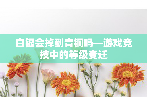 游戏竞技中的等级变迁图片