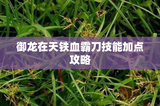 御龙在天铁血霸刀技能加点攻略图片