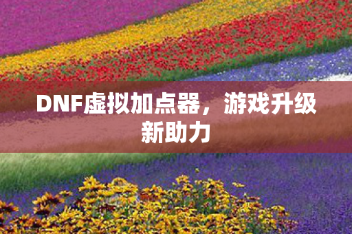 DNF虚拟加点器图片