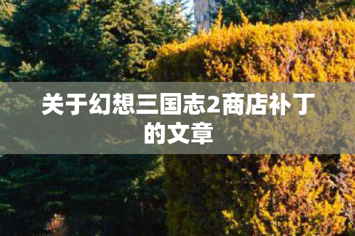 关于幻想三国志2商店补丁的文章图片