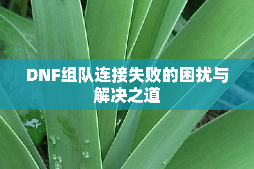 DNF组队连接失败的困扰与解决之道图片