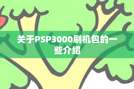 关于PSP3000刷机包的一些介绍图片